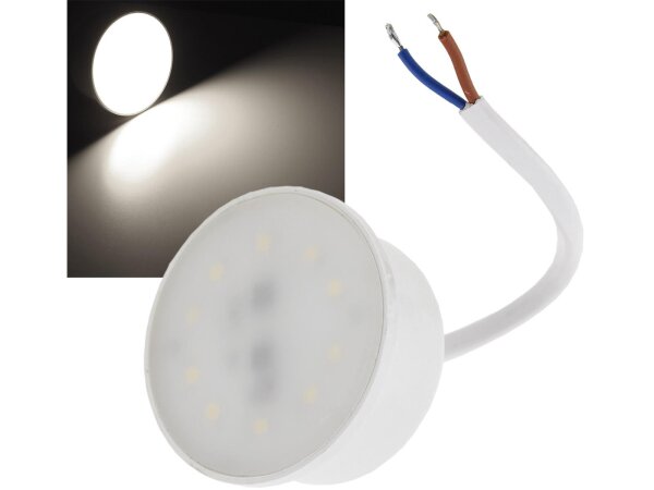 LED-Modul "Piatto W3" neutralweiß120°, 4200K, 230V, 3W, 250lm, 50x24mm